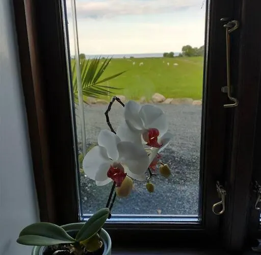 Idyllisk Gard Med Ro, Plads Og Havudsigt * Hesselager