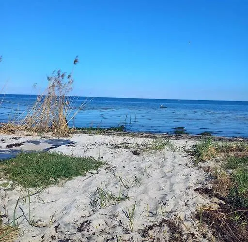 Idyllisk Gard Med Ro, Plads Og Havudsigt Feriehus *