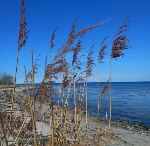Idyllisk Gard Med Ro, Plads Og Havudsigt * Hesselager